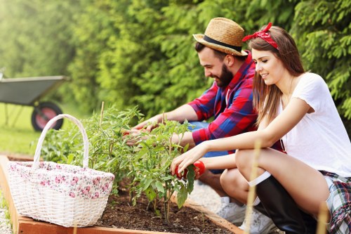 In a landscaped garden outdoor space, a young man and woman are engaged in gardening activities, tending to a small flower bed with green plants and flowering shrubs. The garden features a lawn area with dense, healthy grass in the foreground, bordered by a narrow soil bed where they are planting or caring for the plants. Behind them, there are mature trees and a lush hedge, providing privacy and a natural backdrop. The man is dressed in a red and blue checkered shirt, wearing a straw hat, while the woman wears a white T-shirt, patterned shorts, and a red headband. They are smiling and focused on their gardening task, with a wicker basket partly filled with garden tools or supplies placed nearby. The weather appears bright and sunny, casting natural light on the scene, indicative of a typical summer day suitable for outdoor garden care. This scene reflects professional gardening and landscaping maintenance, highlighting lush plant growth and well-kept outdoor spaces, supported by local gardening services in Wimbledon.
