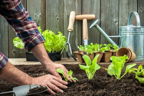 Company leadership statement on modern slavery with gardens in background