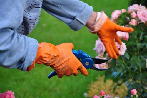 Gardener working on a front garden in Wimbledon
